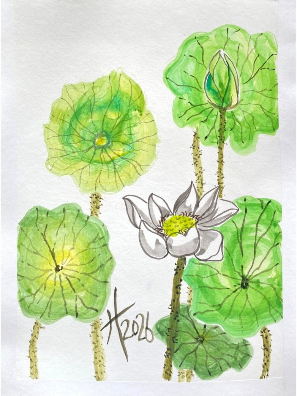 Lotus and Bud Original Art Asian Style Sumi-e Ink Watercolor Painting 11x14in